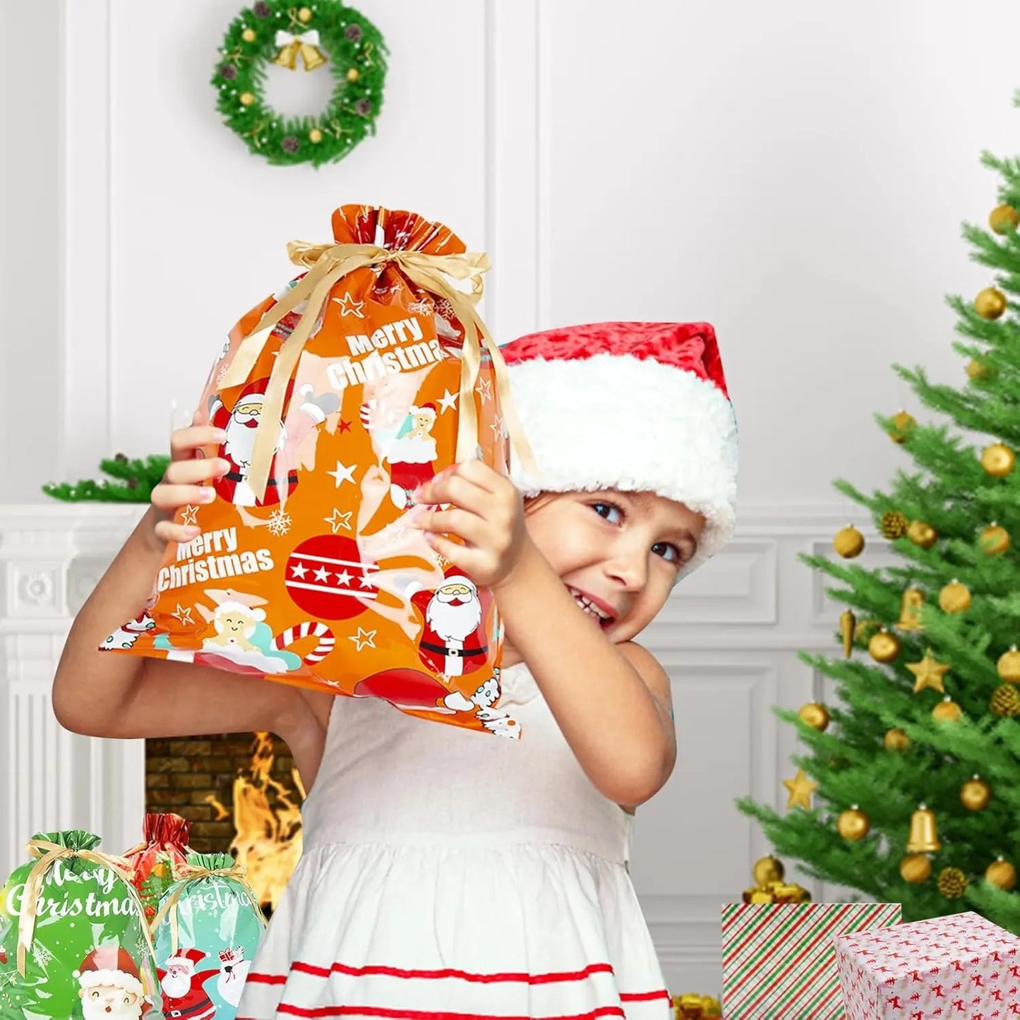 christmas gift bag